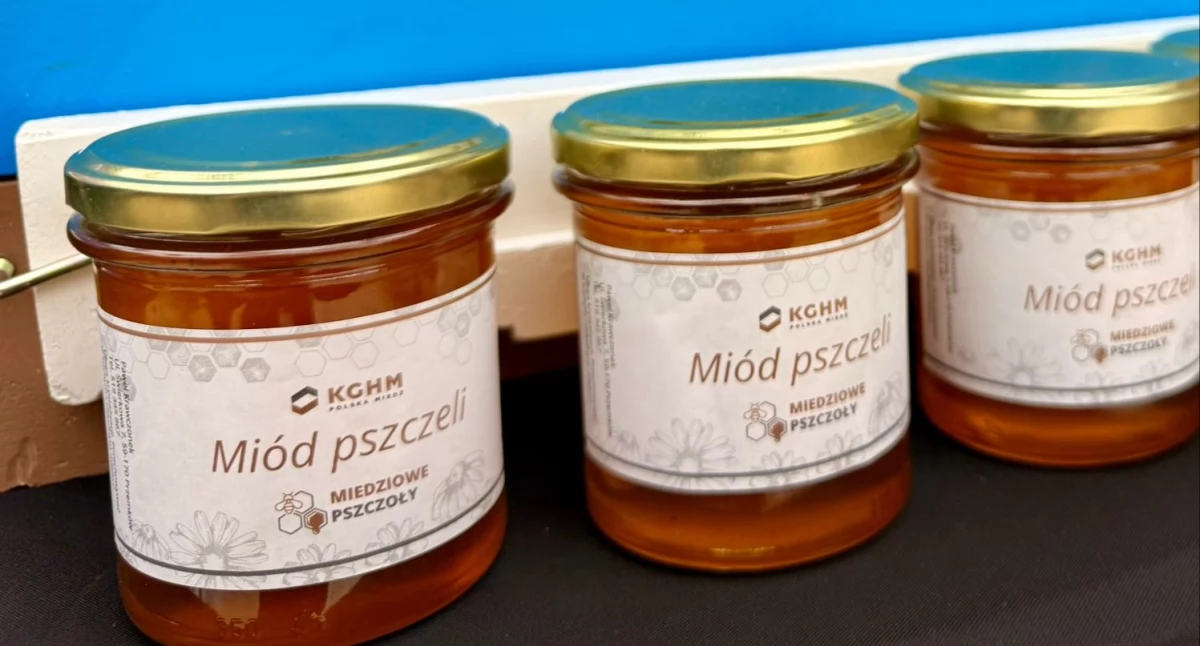 Zdjęcie: miód z pasiek KGHM Fot.: KGHM