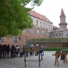 zdjęcie nr 21