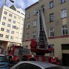 Fotka nr 1 z 14