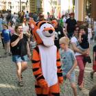 zdjęcie nr 7