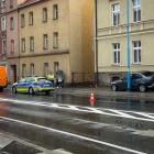Fotka nr 1 z 5