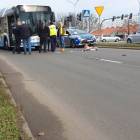 zdjęcie nr 7