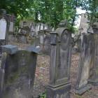 zdjęcie nr 11