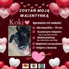 zdjęcie nr 24