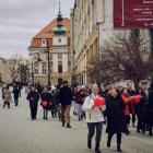 zdjęcie nr 12