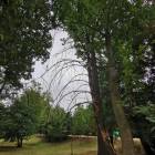 zdjęcie nr 8