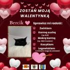 zdjęcie nr 17