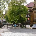 zdjęcie nr 15