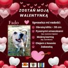 zdjęcie nr 10