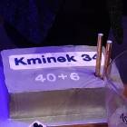 zdjęcie nr 43