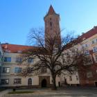 zdjęcie nr 19