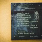 zdjęcie nr 102