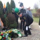 zdjęcie nr 15