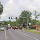 zdjęcie nr 18