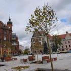 zdjęcie nr 28