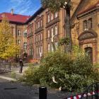 zdjęcie nr 8