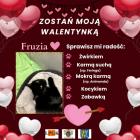 zdjęcie nr 22