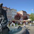 zdjęcie nr 55