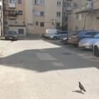 Fotka nr 5 z 6