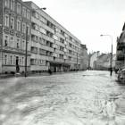 zdjęcie nr 19