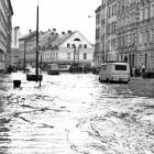 zdjęcie nr 21