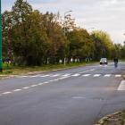 zdjęcie nr 12