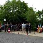 zdjęcie nr 36