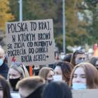 zdjęcie nr 150