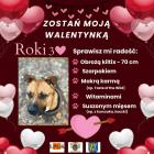 zdjęcie nr 27