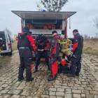 zdjęcie nr 11