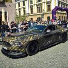 Fotka nr 4 z 41