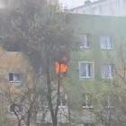 zdjęcie nr 28