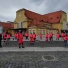 zdjęcie nr 12