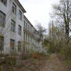 zdjęcie nr 39