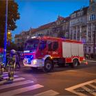 Fotka nr 5 z 8