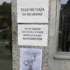 zdjęcie nr 36