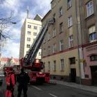 Fotka nr 4 z 14