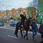 zdjęcie nr 12