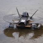 zdjęcie nr 55