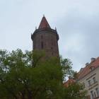 zdjęcie nr 8
