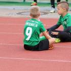 zdjęcie nr 47