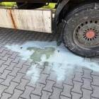 Fotka nr 5 z 7