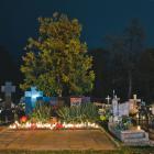 zdjęcie nr 14