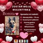 zdjęcie nr 32