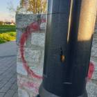 zdjęcie nr 10