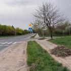 Fotka nr 5 z 17
