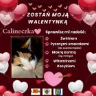 zdjęcie nr 25
