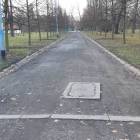 Fotka nr 5 z 9