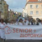 zdjęcie nr 20