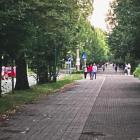 Fotka nr 5 z 6